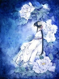 苍寰七宫
